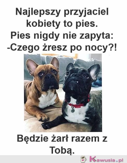 Najlepszy przyjaciel dziewczyny to pies