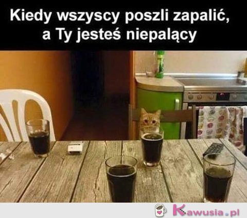 Czemu nie palę