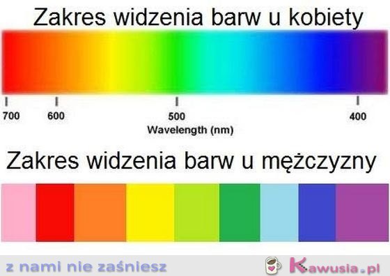 Zakres widzenia barw...