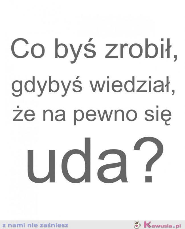 Co byś zrobił?