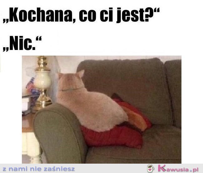 Nic a nic...