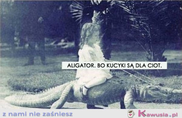 A co...