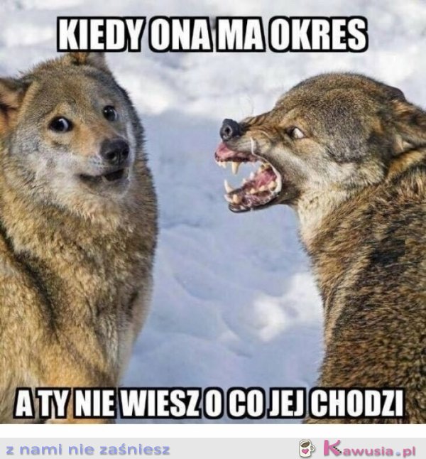 Domyśl się...