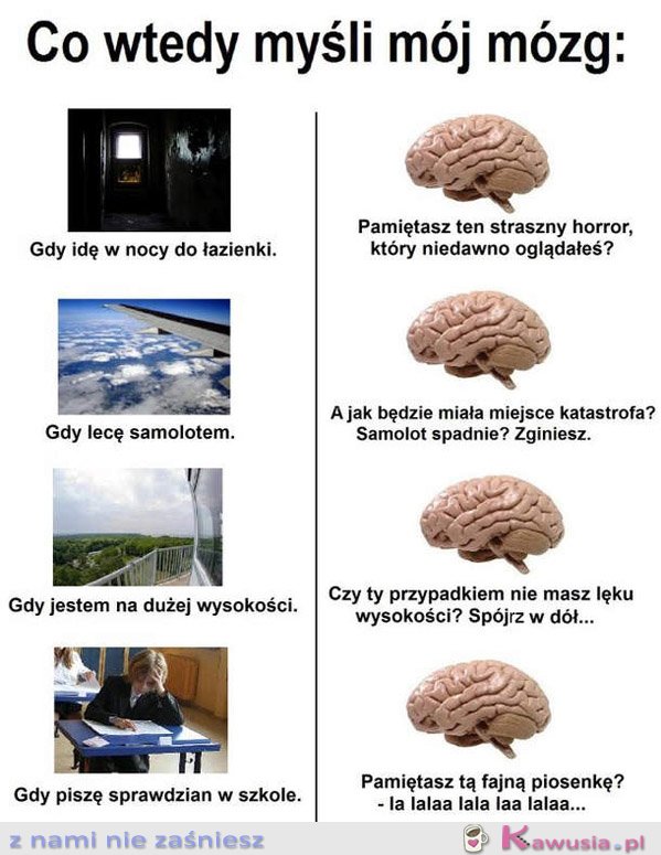 Co wtedy myśli mój mózg