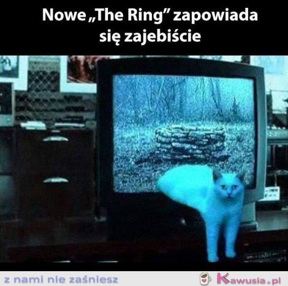 Nowy odcinek The Ring