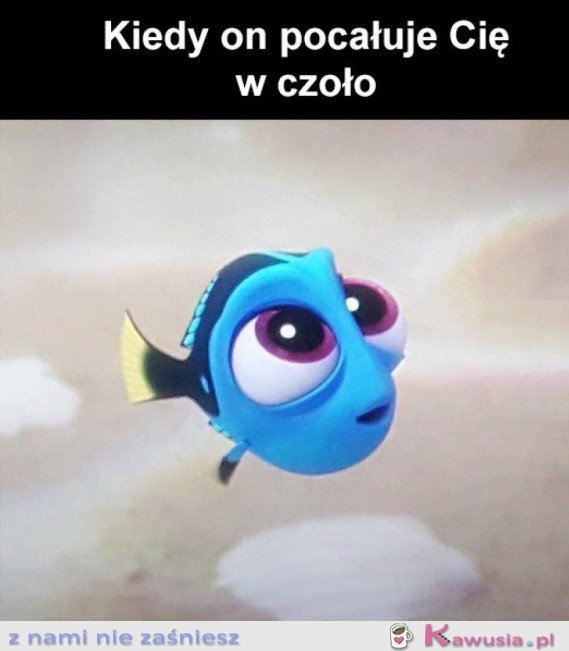 TO TAKIE SŁODKIE