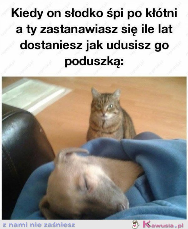 Ciekawe ile lat dostanę