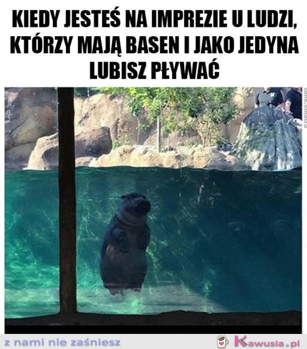 I TAK SIĘ DOBRZE BAWIĘ