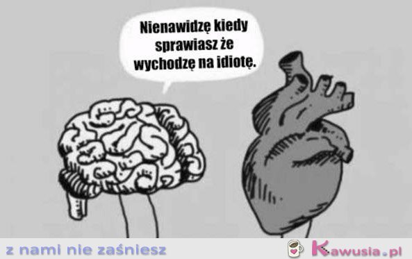 Nienawidzę kiedy...