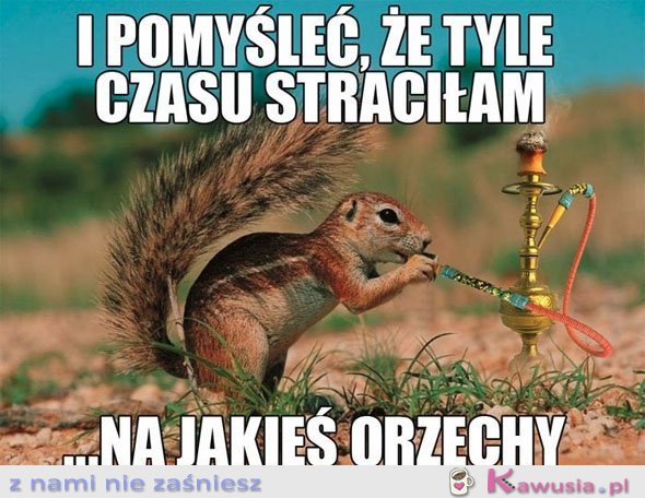 I pomyśleć, że....