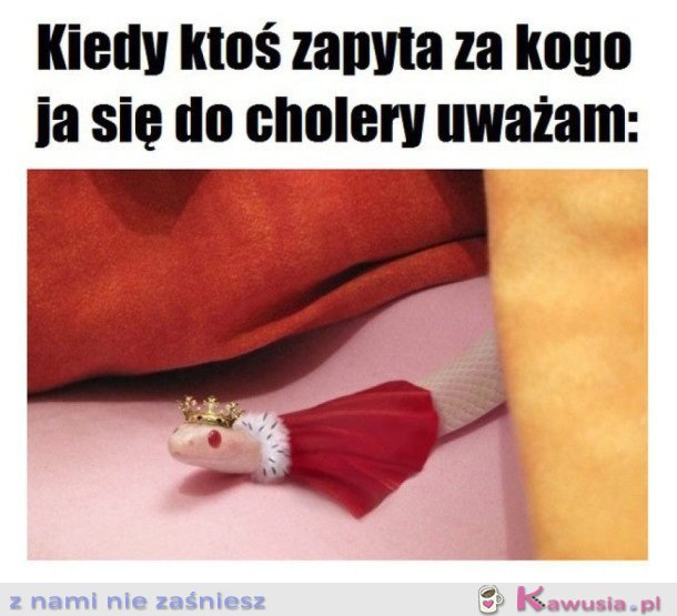 KIEDY KTOŚ PYTA