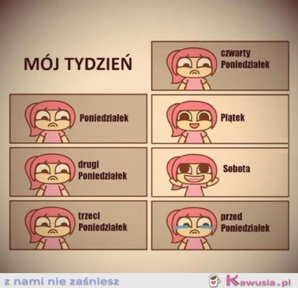 Mój tydzień