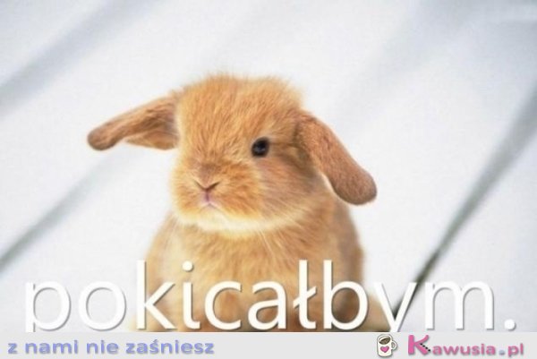 Pokicałbym