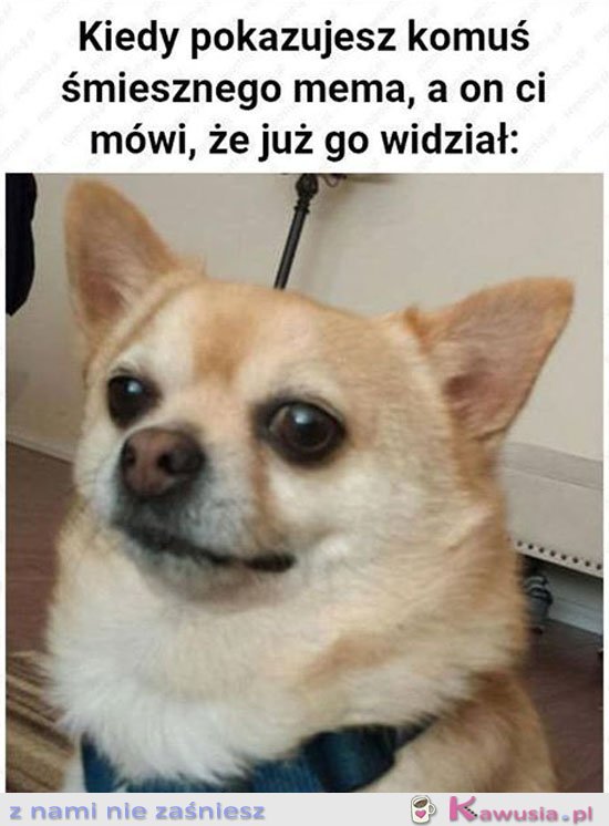 Hmmm udawać, że to śmieszne