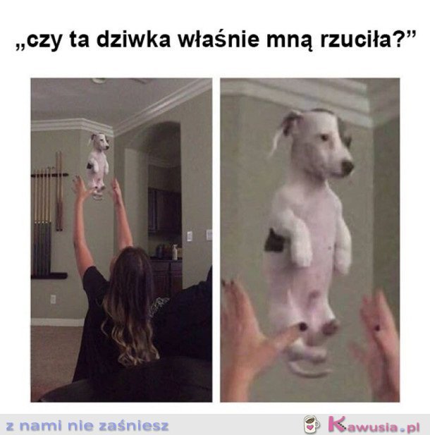 CHYBA SOBIE ŻARTY ROBI