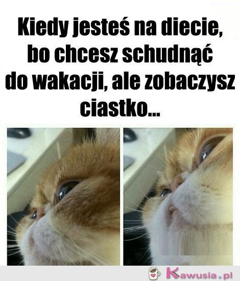 Diety takie są
