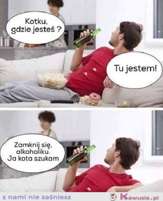 Kotku gdzie jesteś