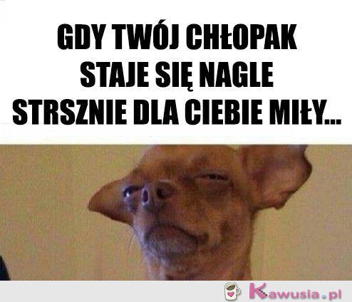 Ciekawe co chce...