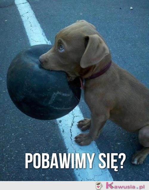 Pobawimy się