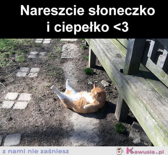 Ciepełko 
