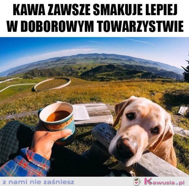 DOBOROWE TOWARZYSTWO