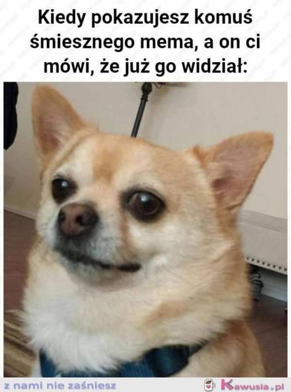 Kiedy pokazujesz komuś mema