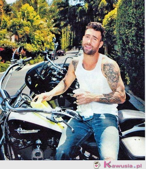 Adam Levine