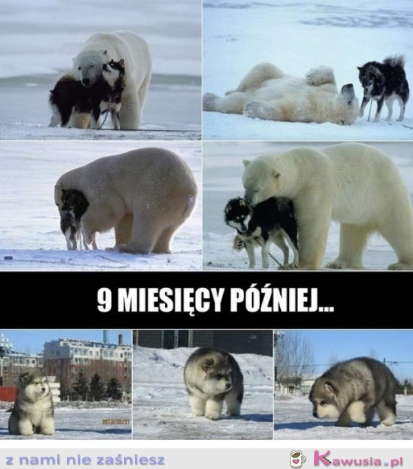 9 miesięcy później..