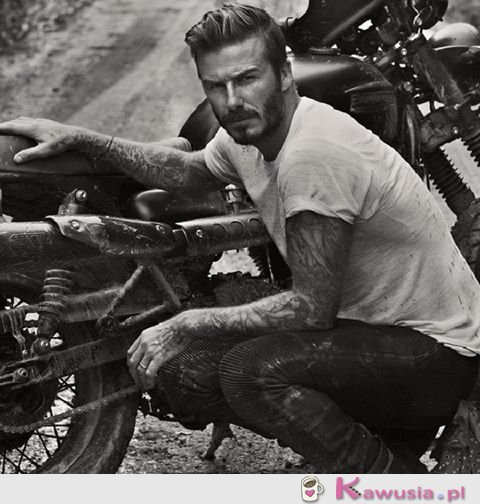 David Beckham