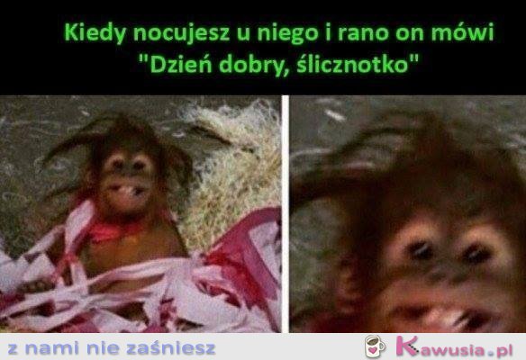 Bardzo lubię u niego spać