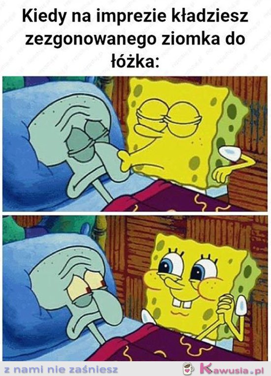 Nie ma jak najlepszy przyjaciel