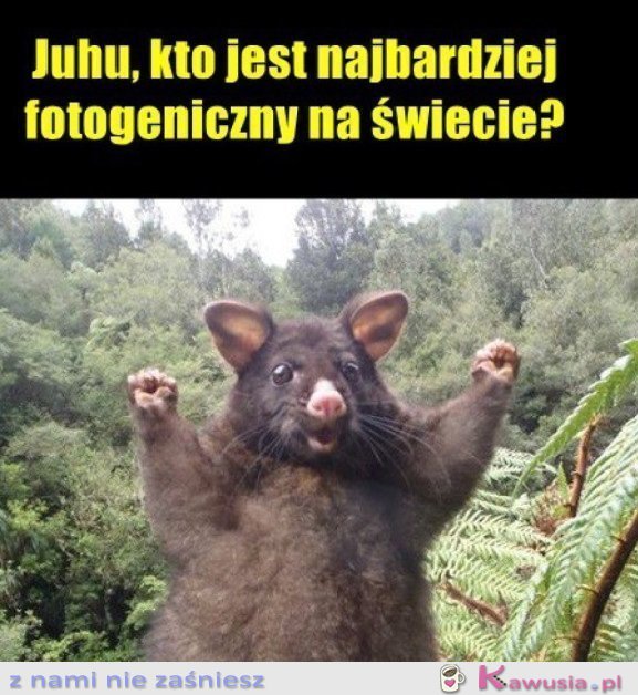 SŁODKIE SELFIE