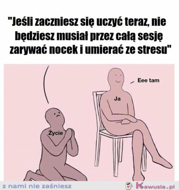 Systematyczna nauka
