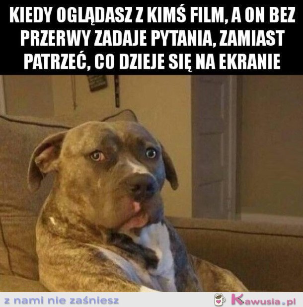 Filmy lubię oglądać sama