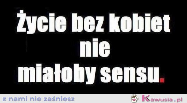 Życie bez kobiet