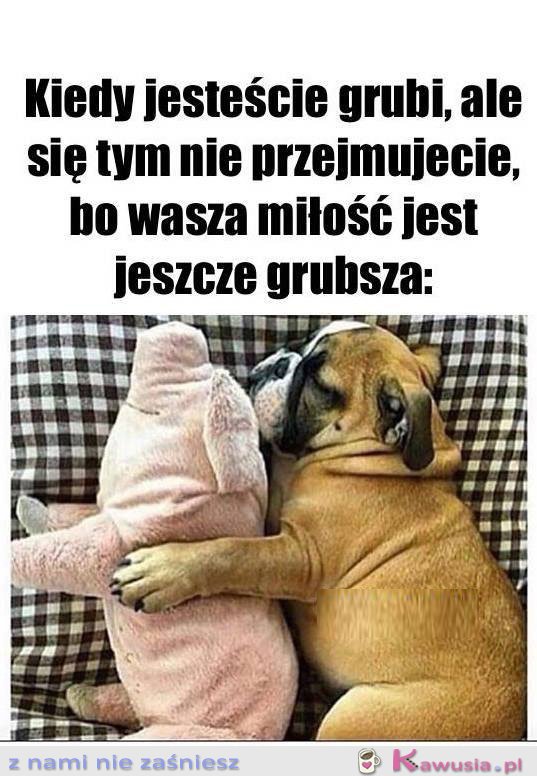 Kiedy jesteście grubi