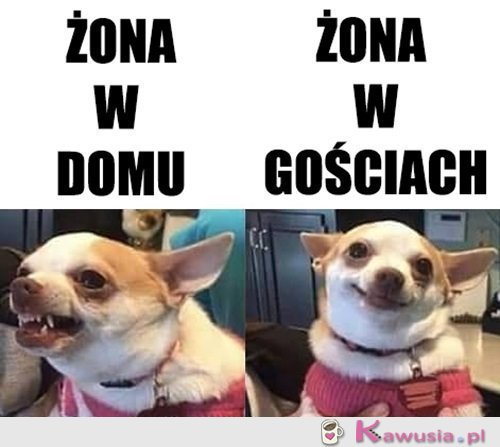 Kobieta zmienną jest