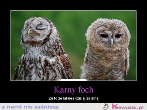 Karny foch