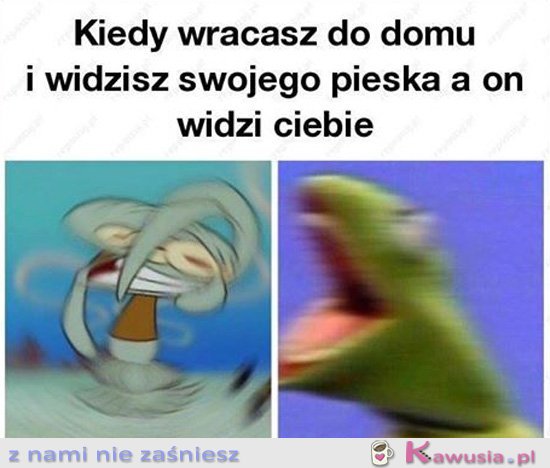 Kiedy wracasz do domu i widzisz pieska