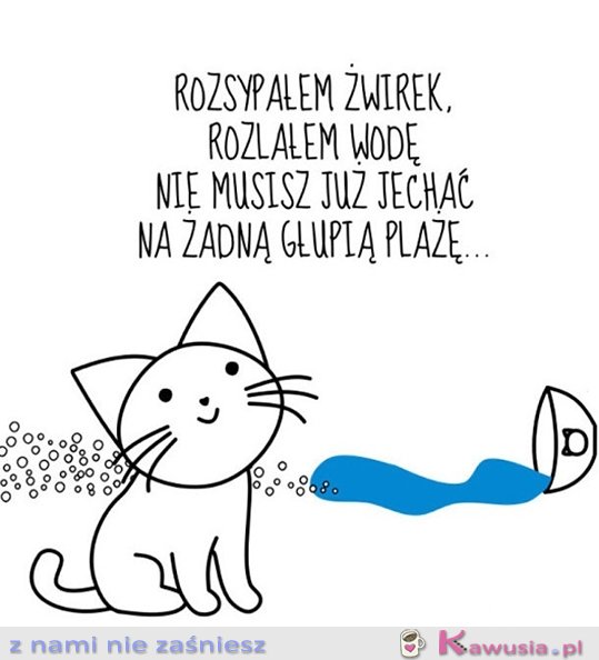 Czego więcej trzeba...