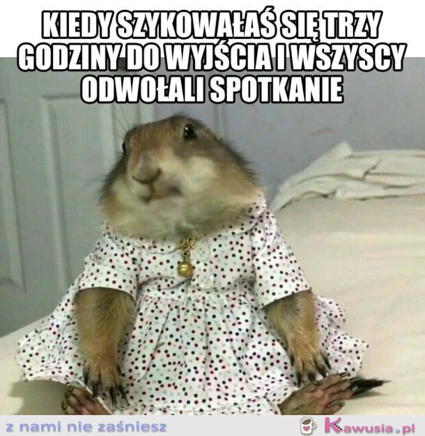JAK MOGLI MI TO ZROBIĆ?...