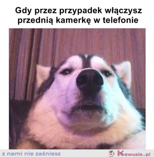 KIEDY PRZEZ PRZYPADEK...