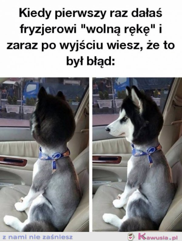 Dałam fryzjerowi " wolną rękę"