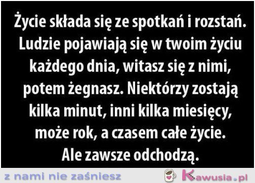 Życie składa się z