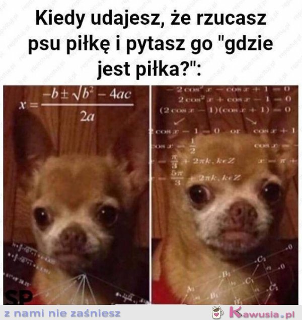 Rzuć piłeczkę