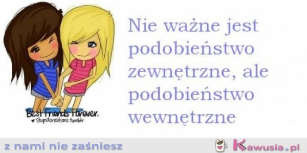 Podobieństwo wewnętrzne