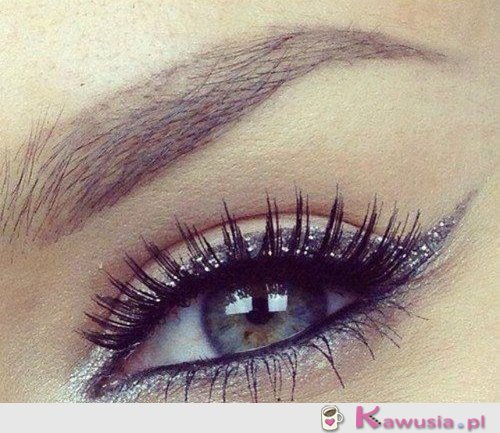 Silver eye