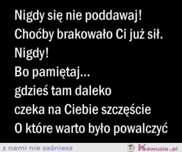 Nigdy się nie poddawaj!