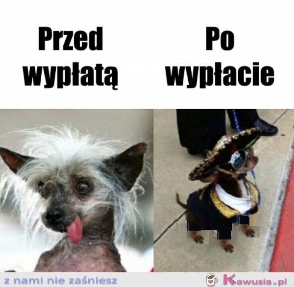 Samo życie...