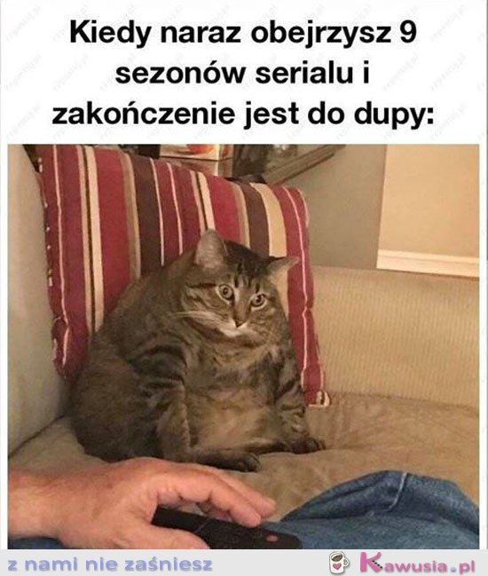 Kiedy na raz obejrzysz 9 sezonów